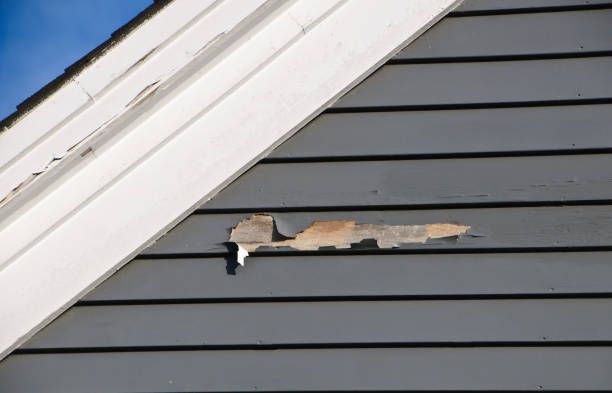 River Falls, WI Siding Installation & Repair Company
